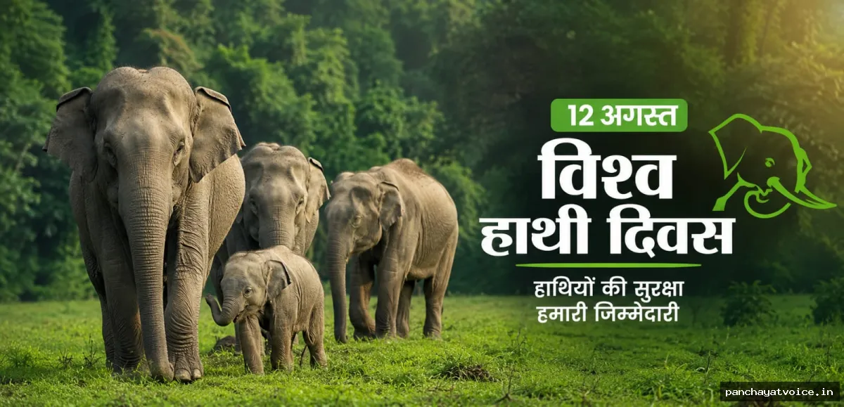 दुनिया के हर 10 में 6 जंगली एशियाई हाथियों का घर है भारत